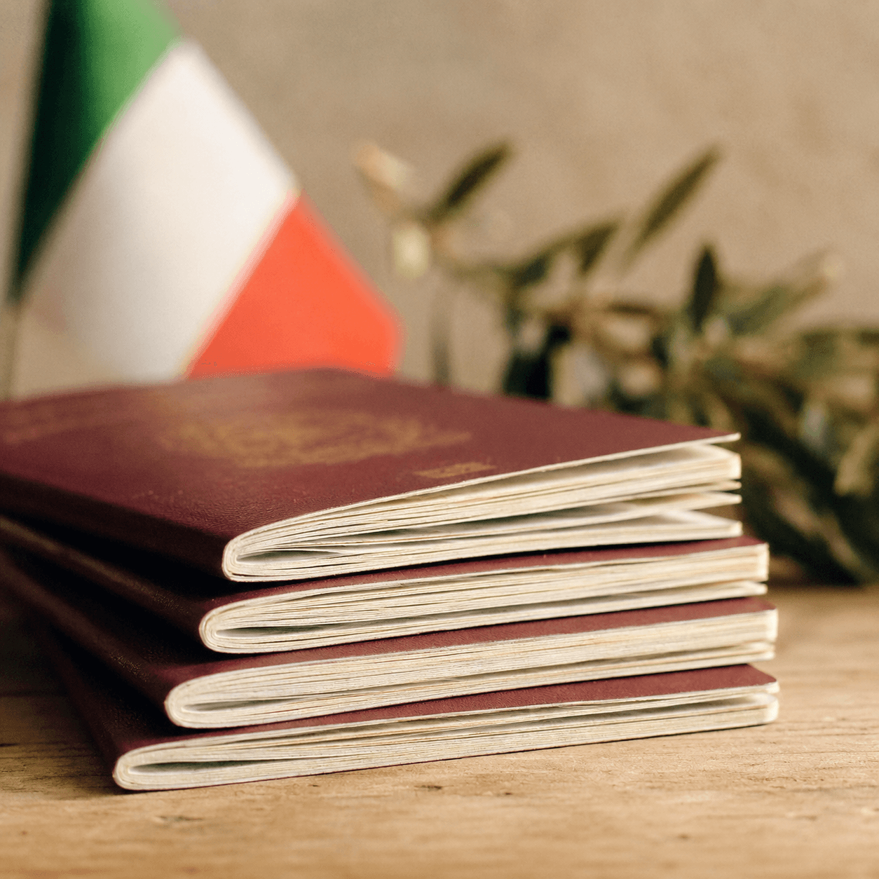 Passaportes italianos da família empilhados ao lado da bandeira da Itália e um galho de oliveira